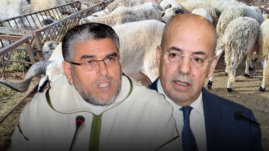 الرميد يطالب وزير الفلاحة بالاستقالة بسبب ارتفاع أسعار أضاحي العيد